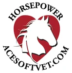 #15 - ACESoft Business Manager logo