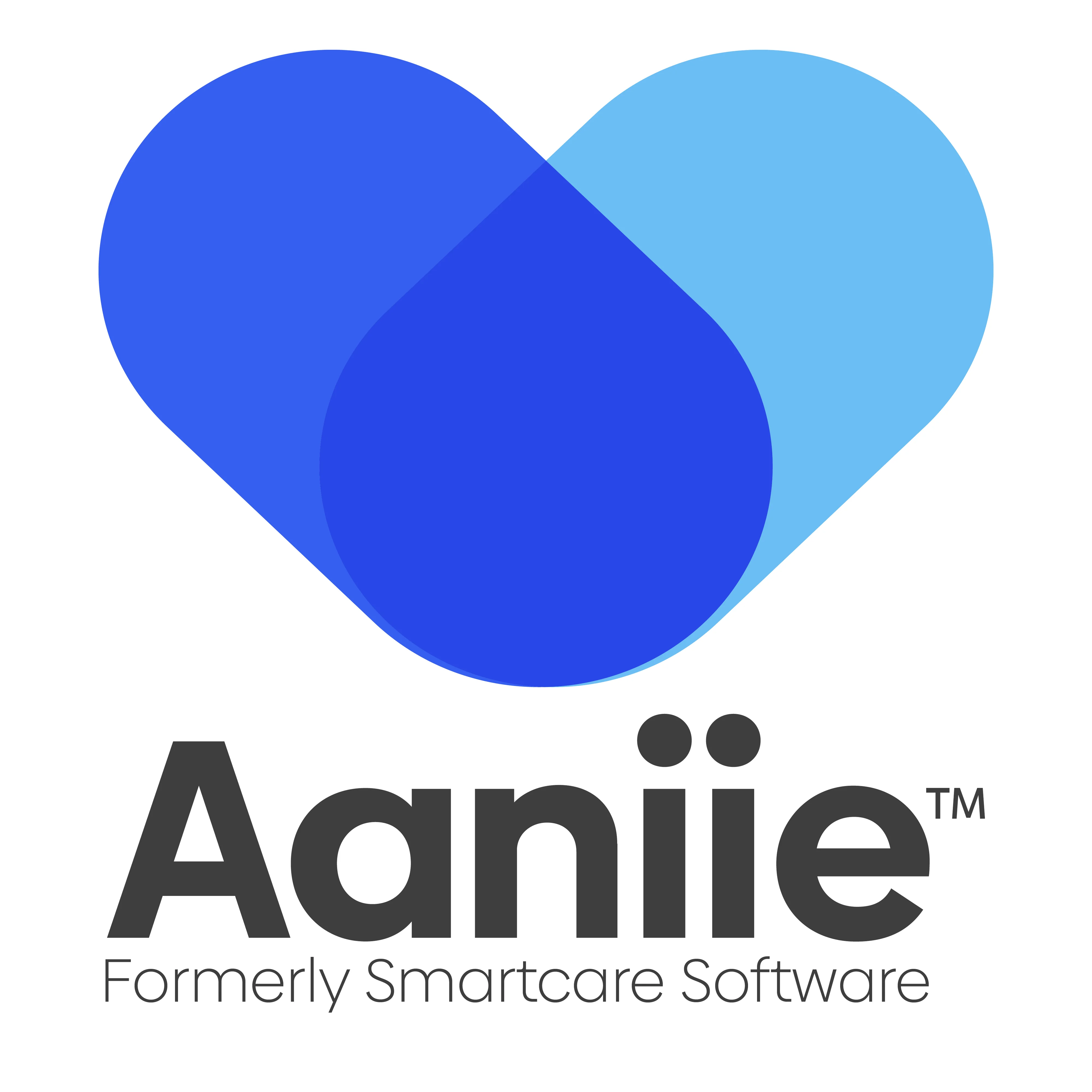 #10 - Aaniie logo