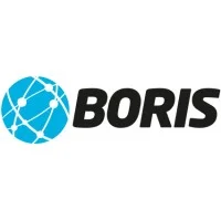 #5 - BORIS logo