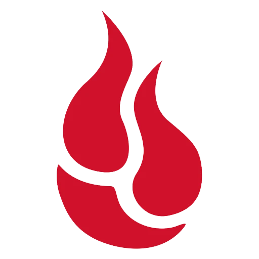 #4 - Backblaze Computer Backup logo