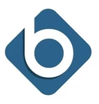 Banyon Fund Accounting logo