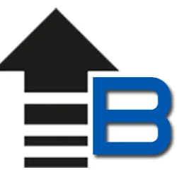Bizstim logo