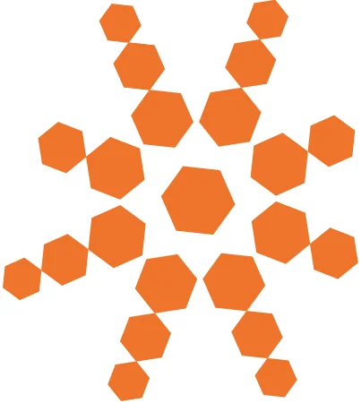 Bloomfire logo