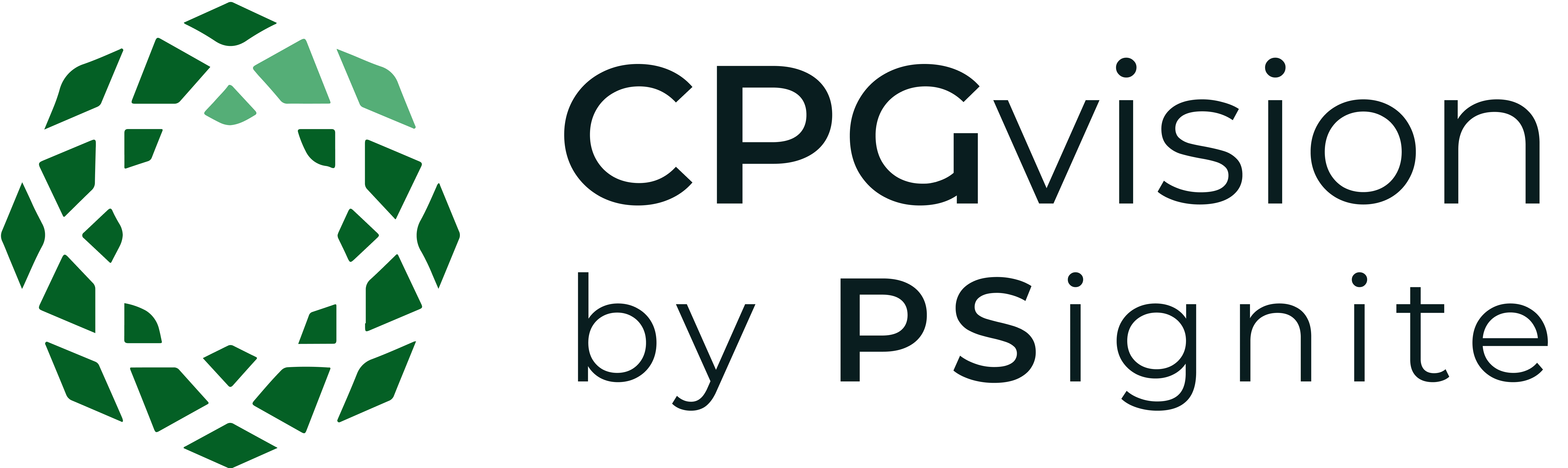 #9 - CPGvision logo