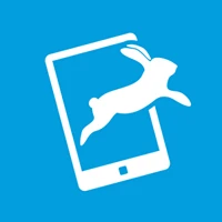 Cluetivity logo