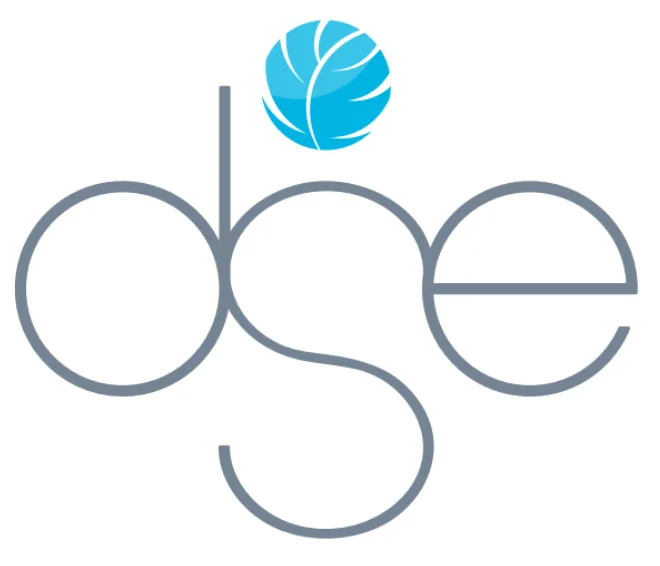 #13 - DSE Rec Center logo