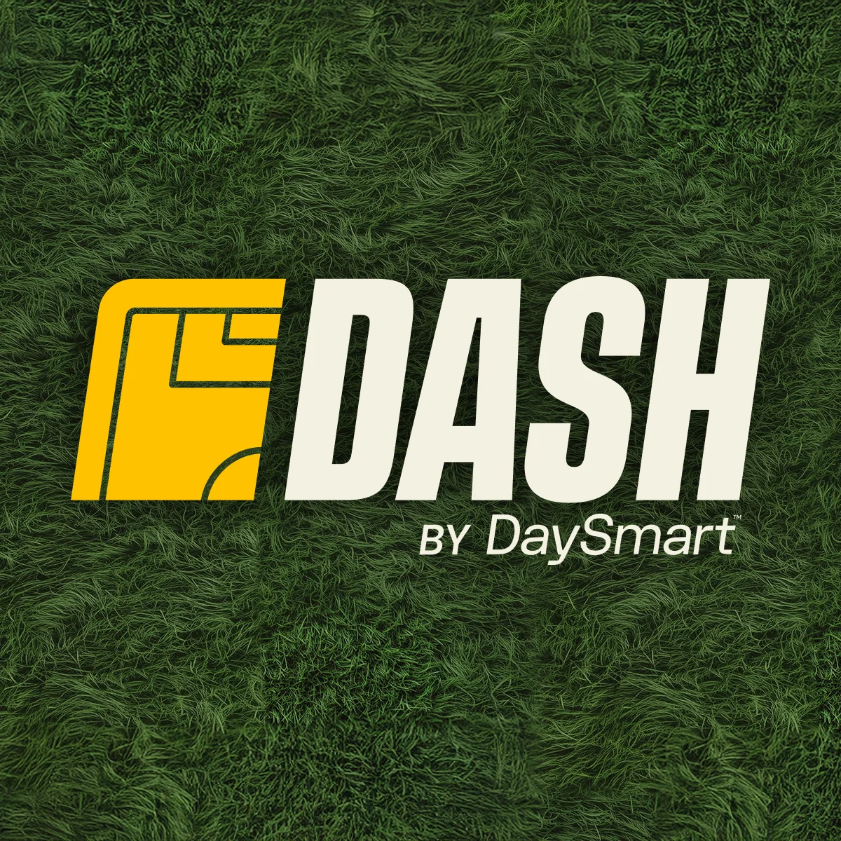 #16 - Dash logo