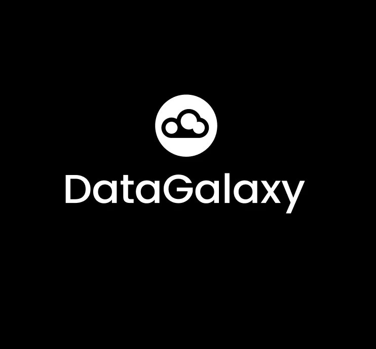 DataGalaxy logo