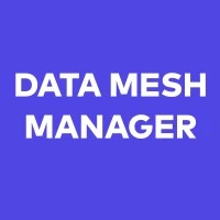 #3 - Data Mesh Manager logo