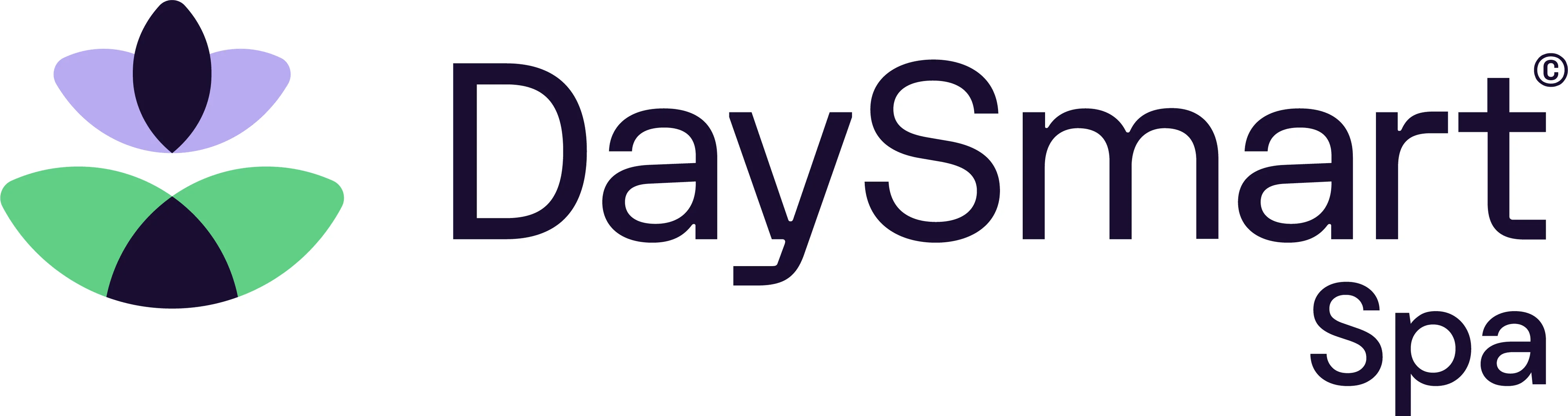 DaySmart Spa logo