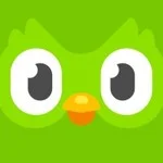 #1 - Duolingo logo
