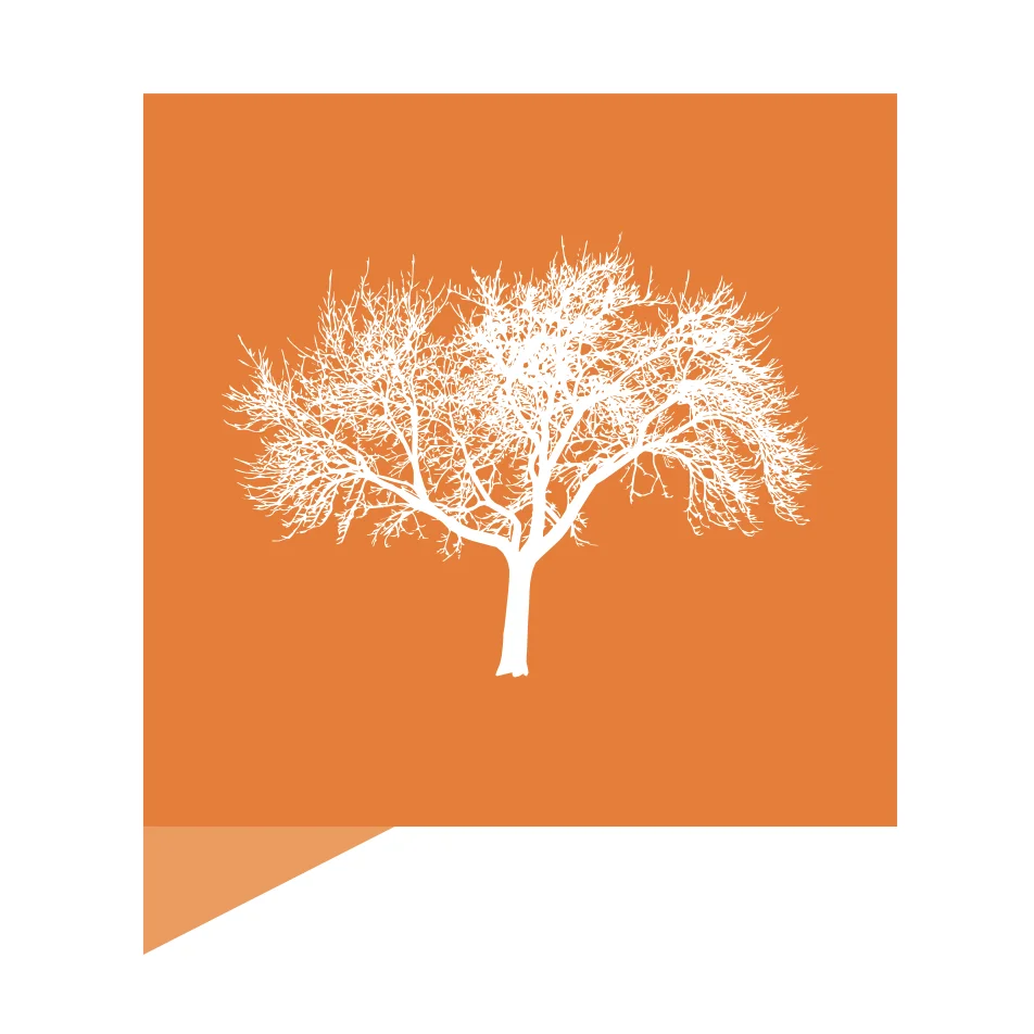 Eldermark logo