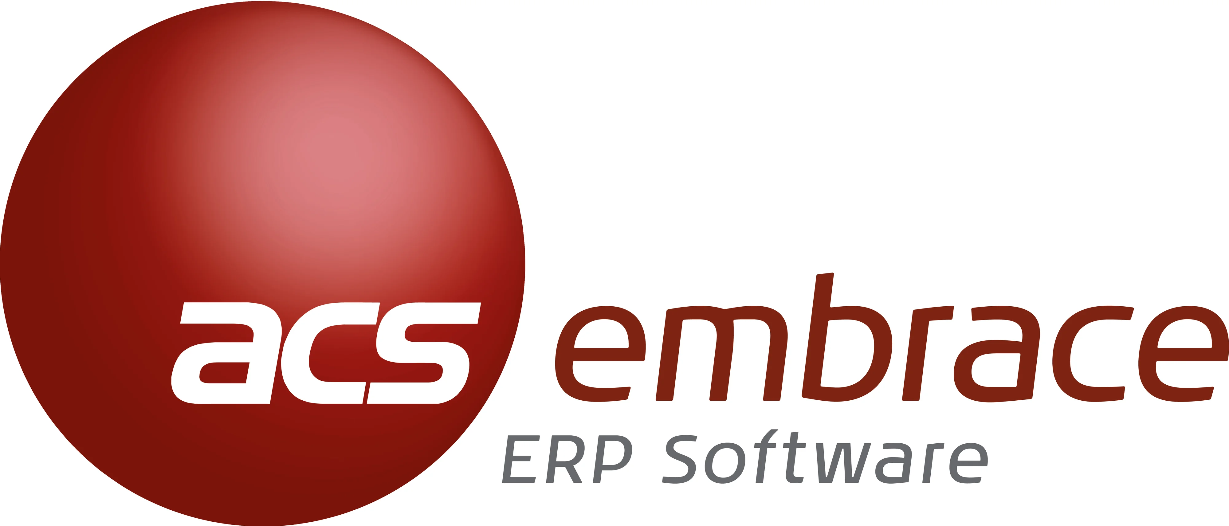 Embrace ERP logo