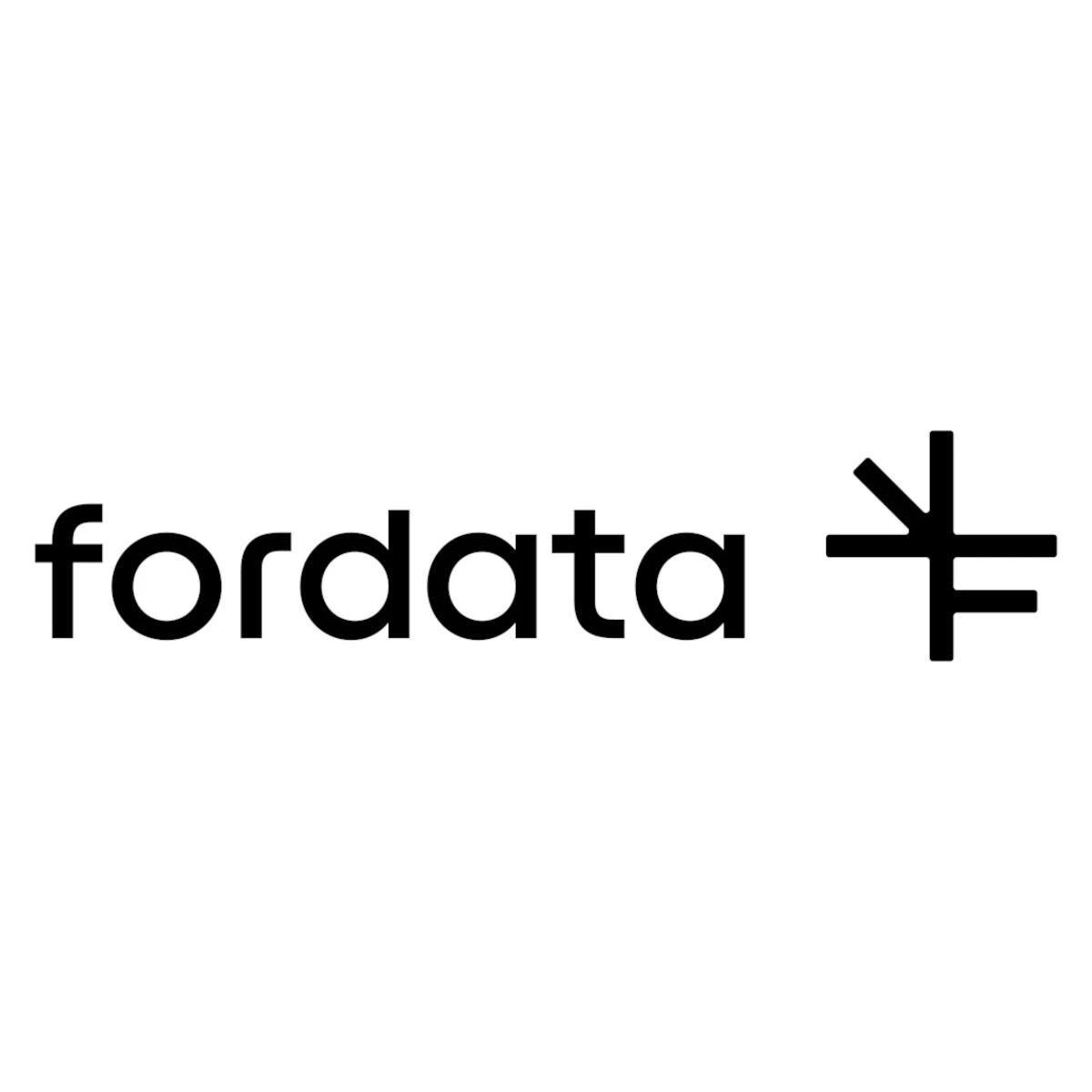 FORDATA VDR logo