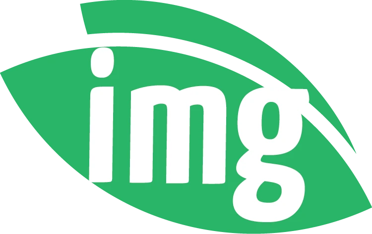 Img.vision logo