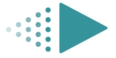 IntellectusStatistics logo