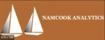 Namcook Analytics logo
