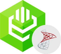 ODBC Driver for SQL Server logo