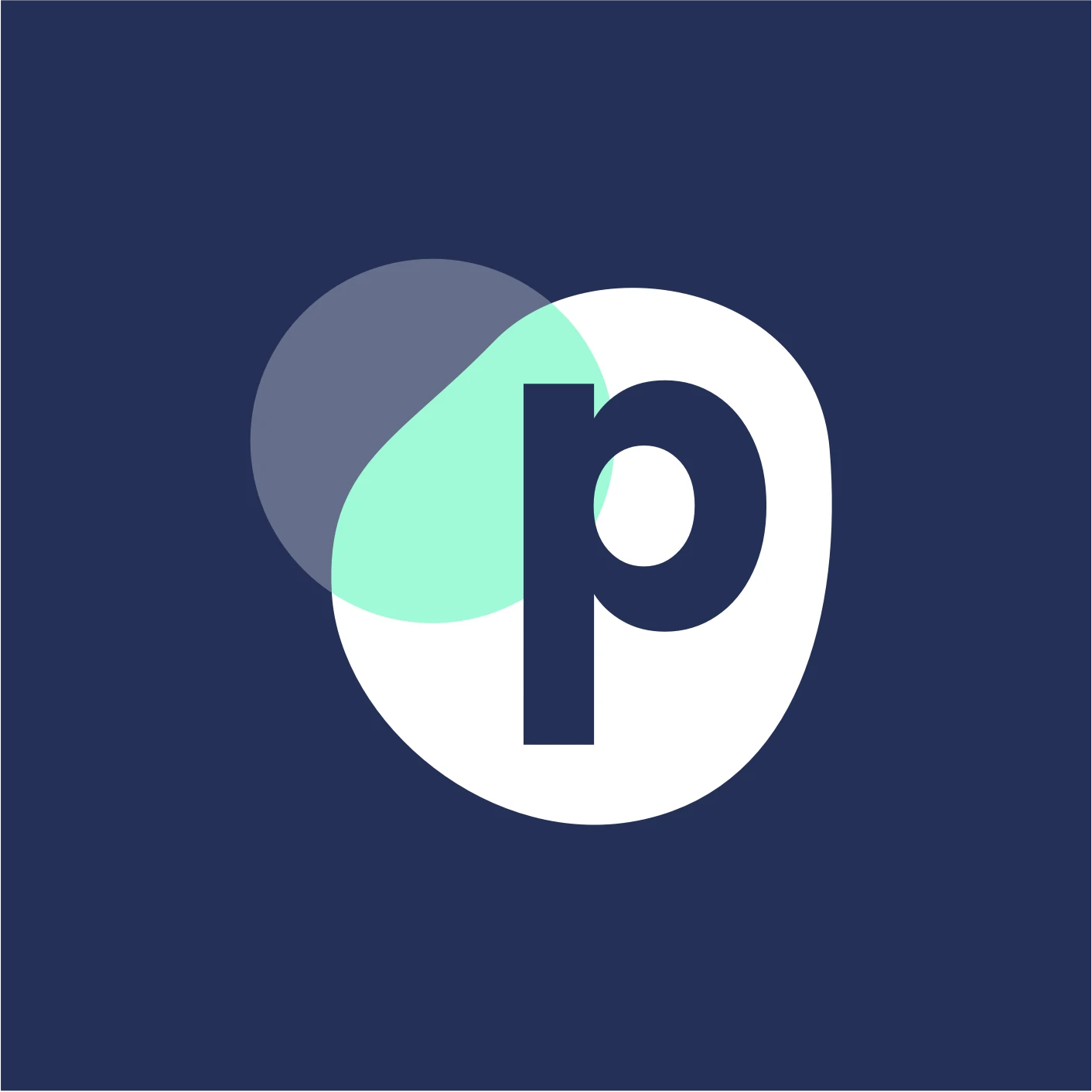 Paragon Commerce logo