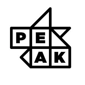 Pricing Intelligence logo