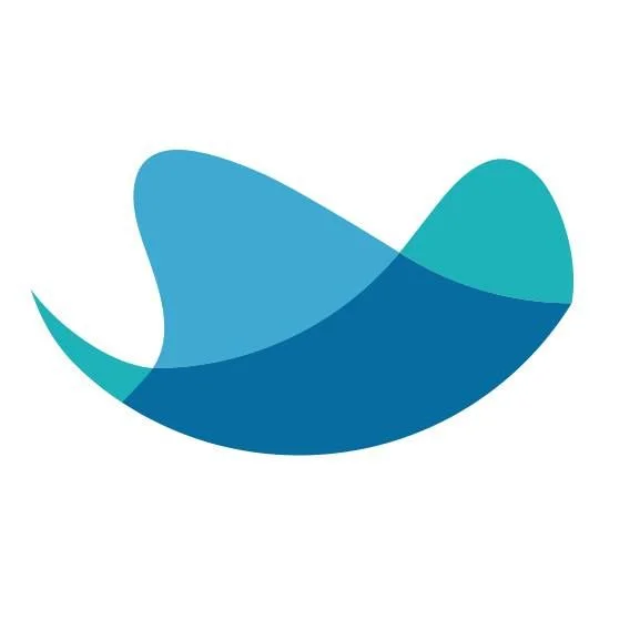 #20 - RAYNET CRM logo