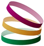 ReadySetAuction logo