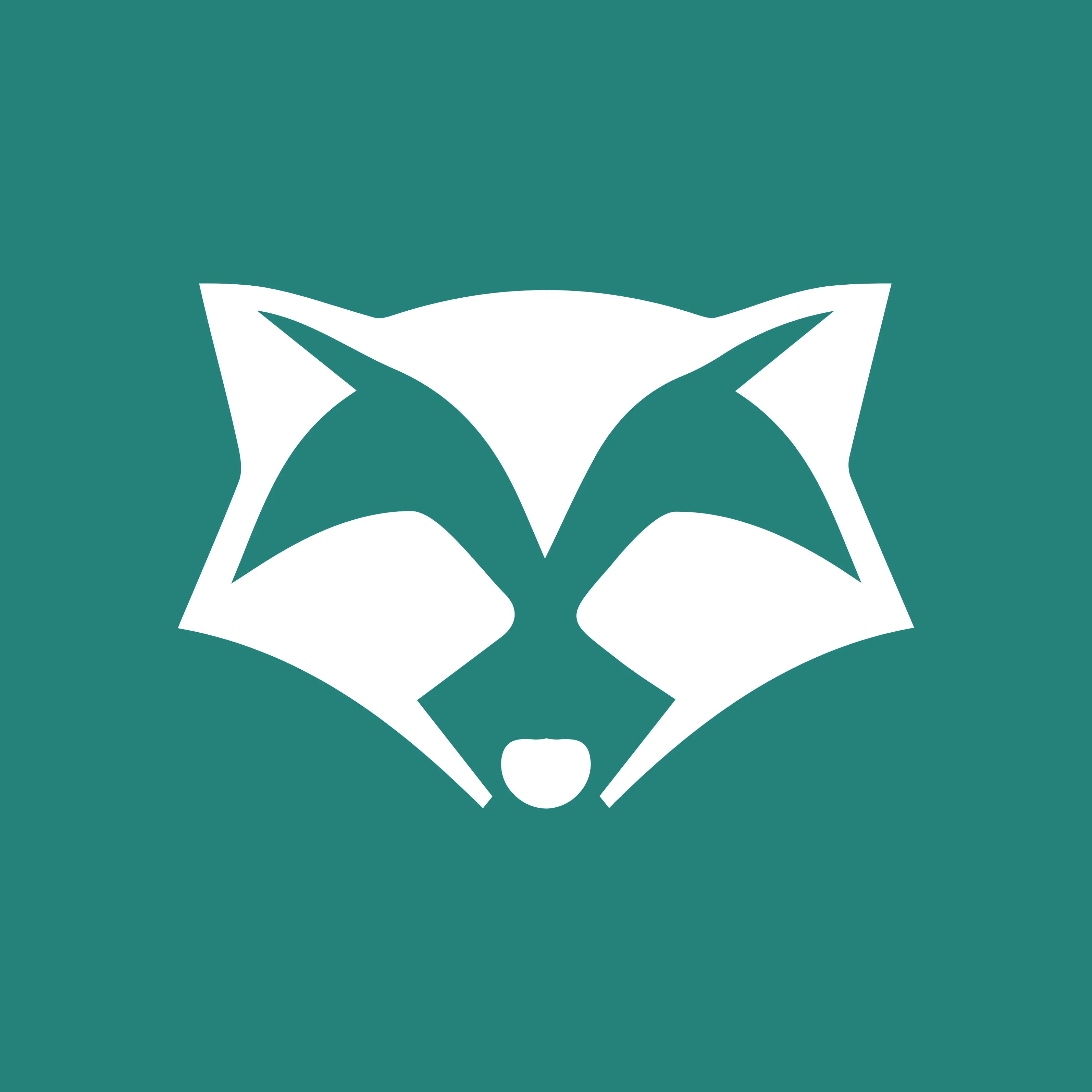 RoomRaccoon logo