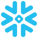 #10 - Snowflake logo