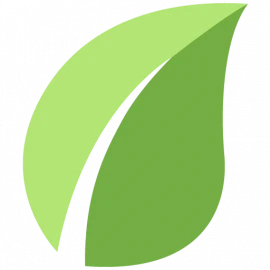 Solvemint logo