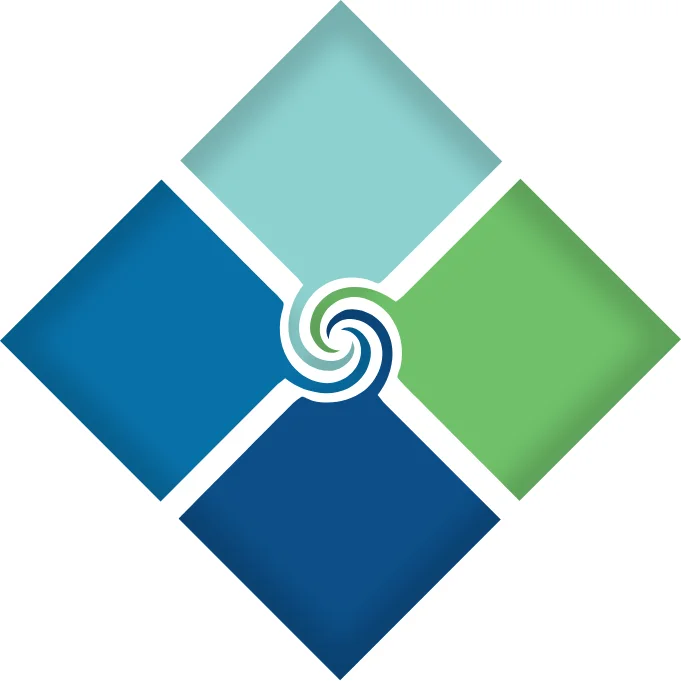 #9 - Striven logo