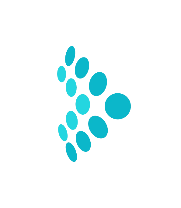 Tealium Customer Data Hub logo