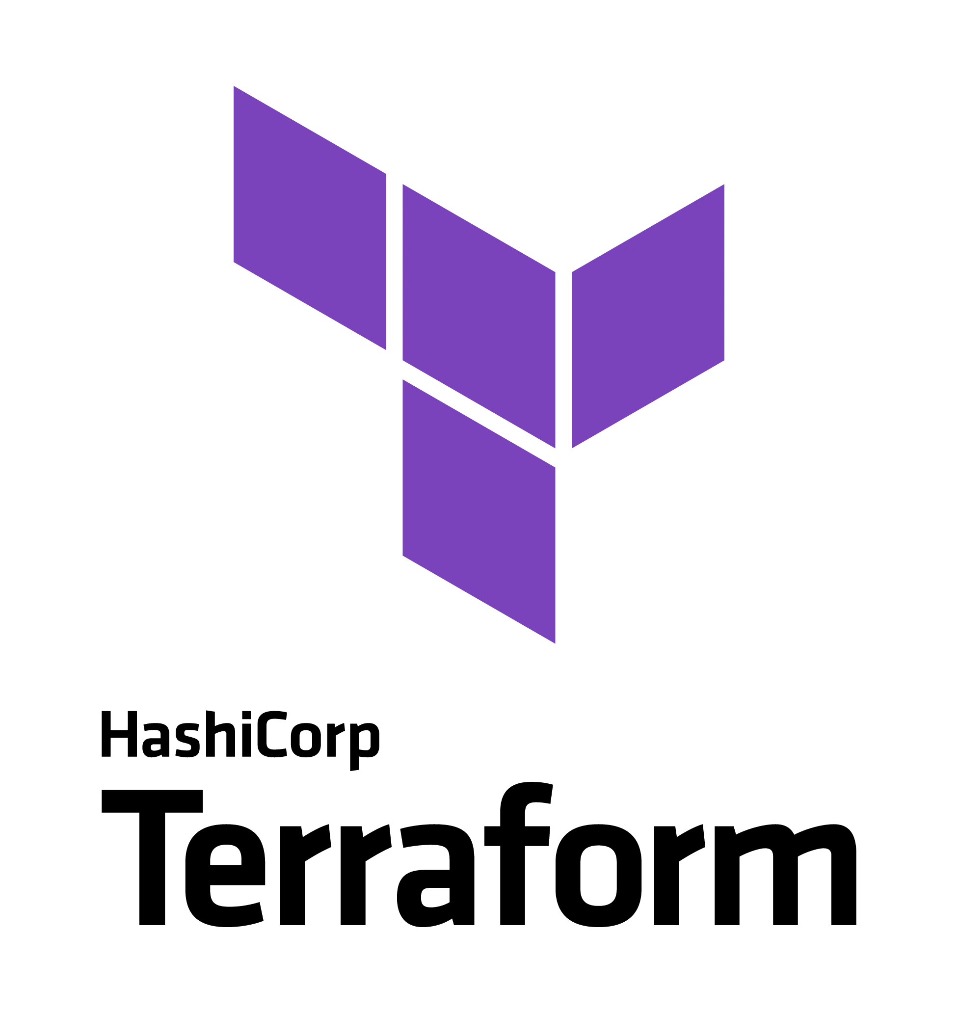 #3 - Terraform logo