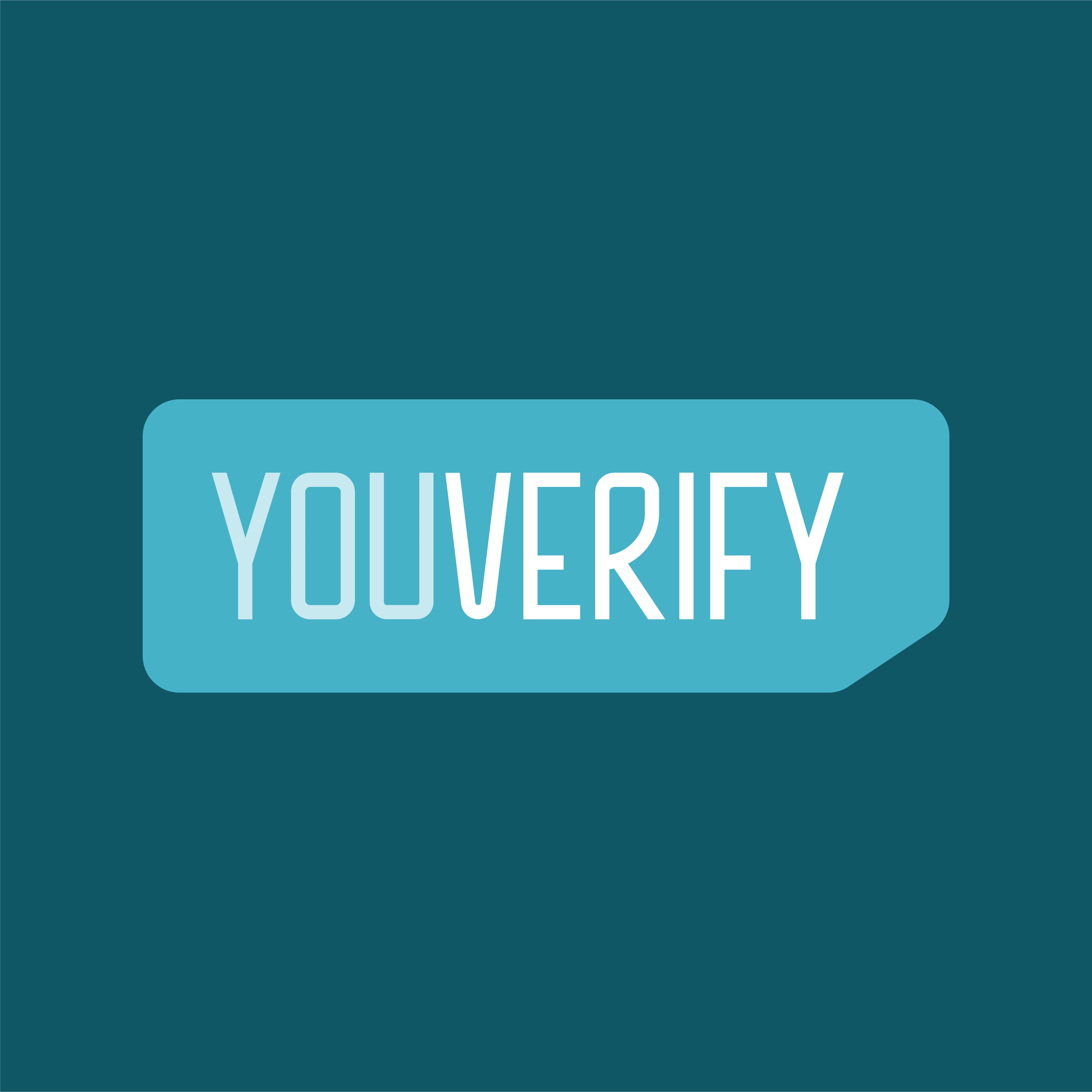 #14 - YouVerify logo