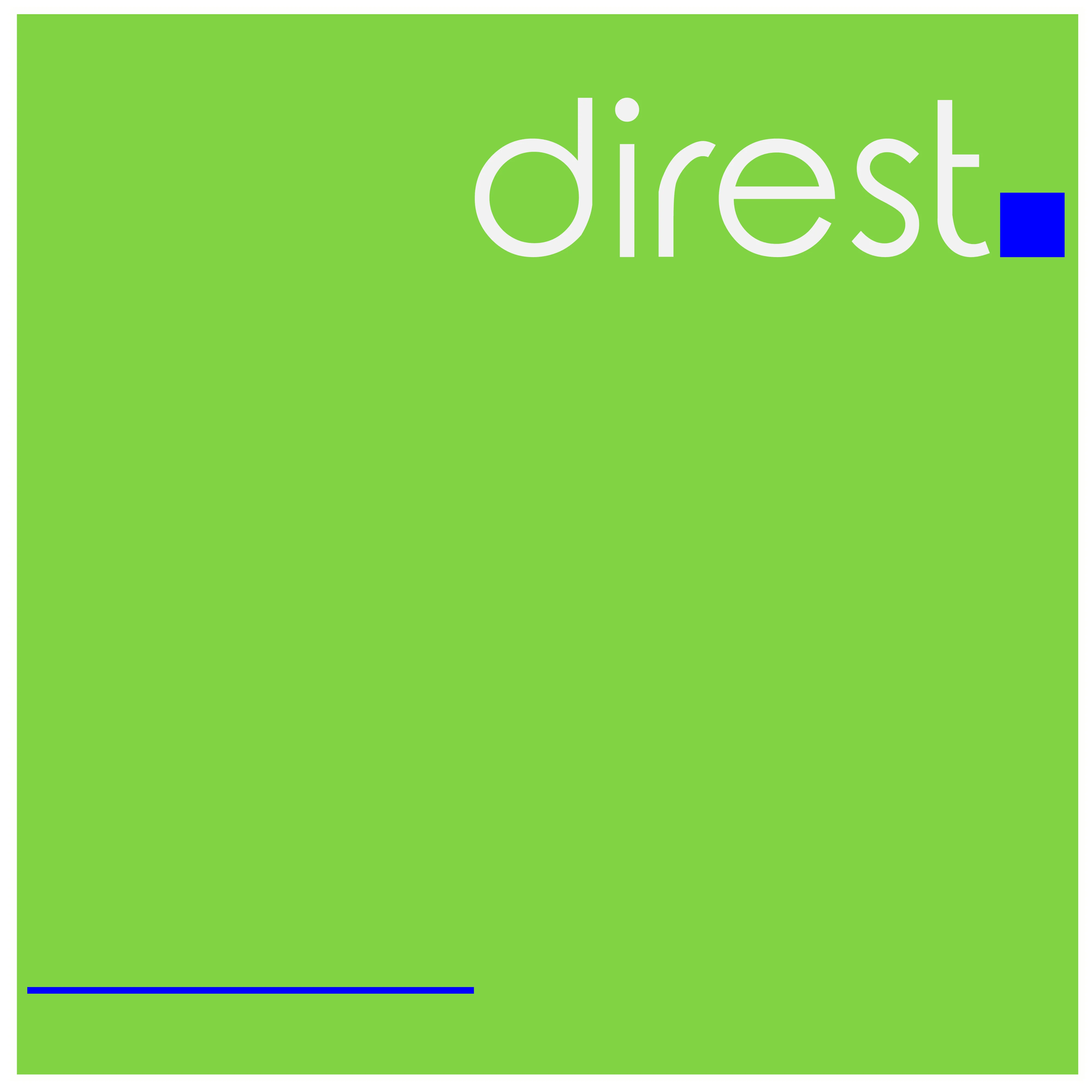 #13 - direst logo
