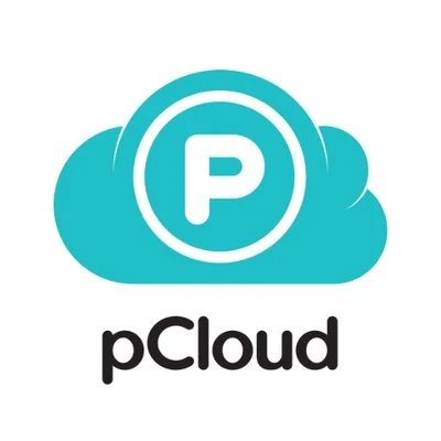 #5 - pCloud Business logo
