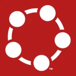 qmsWrapper logo